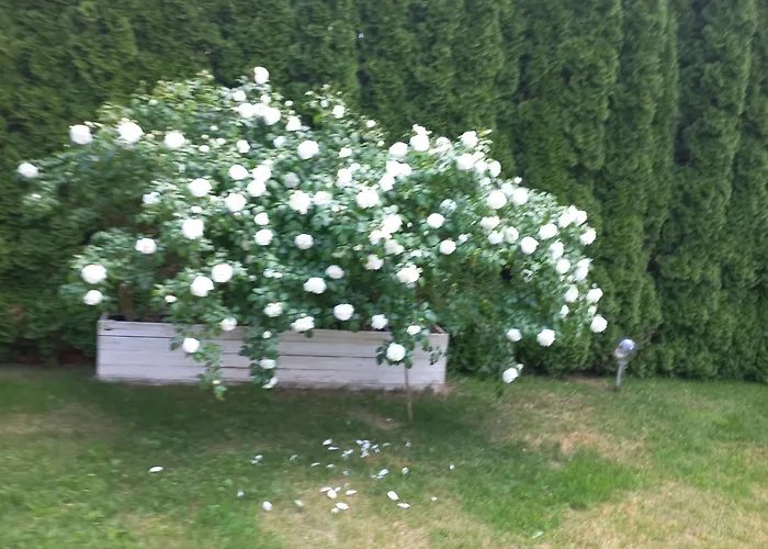 Prázdninový areál Rewa Rewal