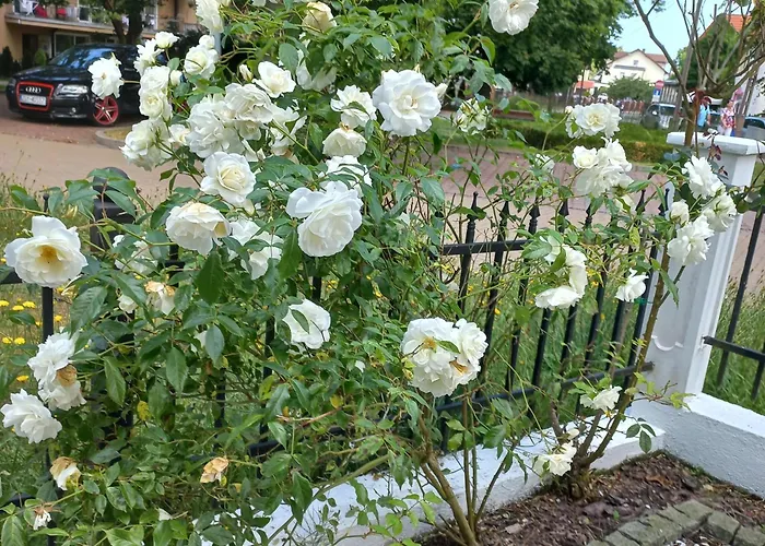 Prázdninový areál Rewa