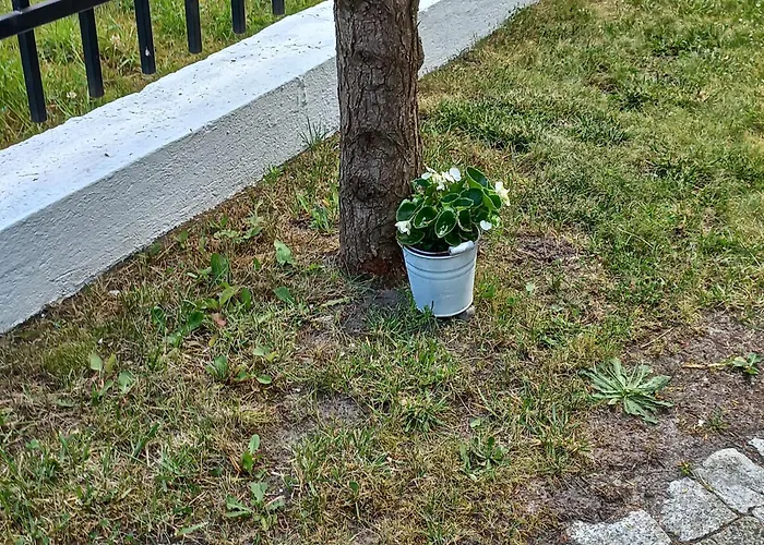 Prázdninový areál Rewa *